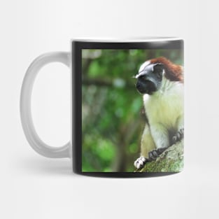 White Chested Monkey Perching in Tree Mug